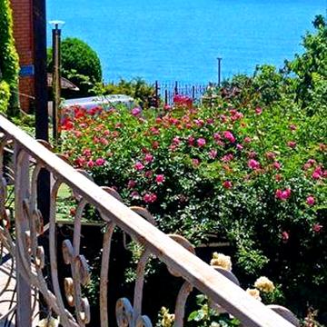 Продажа готового бизнеса в Совиньоне