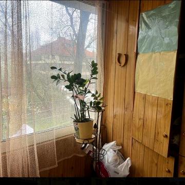 Здається 3 кімн. Кв. По вул Собранецька