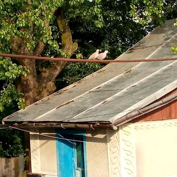 Продаж 4к Дім Ґорбасівка