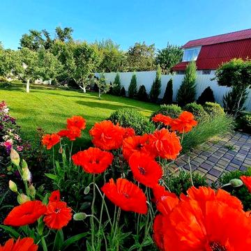 Продам дачу рядом с Хортицким районом