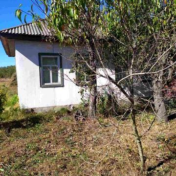 Продам будинок в с. Карпилівка Чернігівська обл. з газовим опаленням