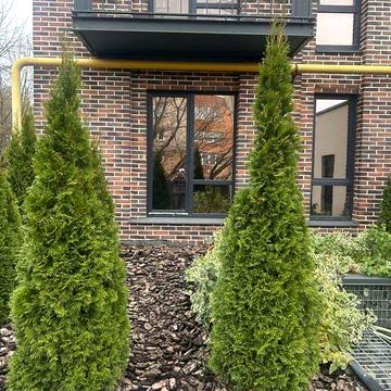 Продаж 2к Квартира Виноградна вулиця