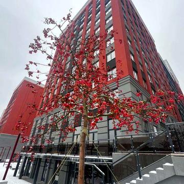 Квартира вільного планування. Без комісії !!!