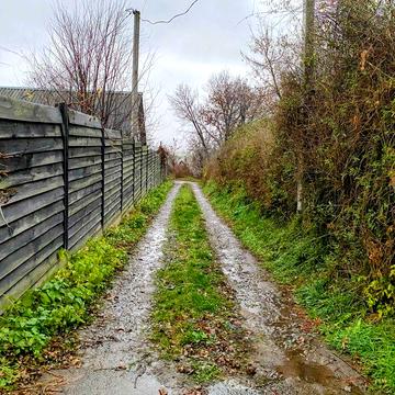 Продаж будинку 75м2 в с.Білогородка на ділянці 17 сот Газ/світло 15кВт