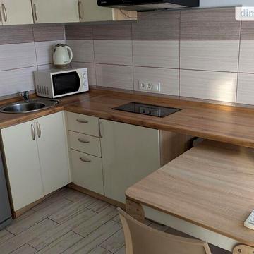 Довгострокова оренда 1к Квартира Свято-Покровська вулиця ЖК Покровский