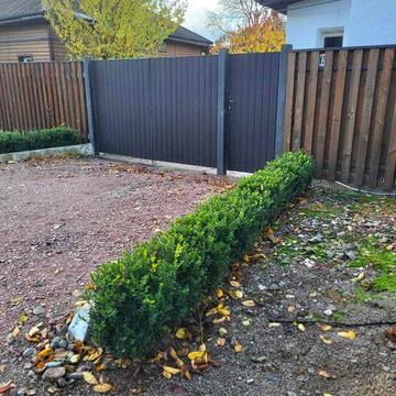 Будинок в оренду в м. Конотоп, район Куба