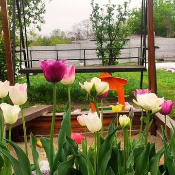 Продам свой  дом верх Чапаева,ул.Гоголя