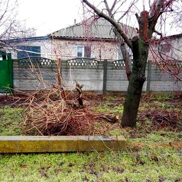 Сдаю дом для семьи