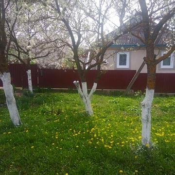 Власник продає будинок   біля дороги село Йосипівка