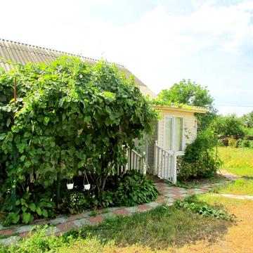 Будинок для відпочинку біля річки та лісу (дача)