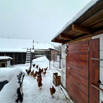 Груба, Газ,Погреб у Будинку на 3 спальні, ЛісРічка