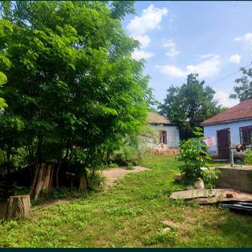 Продам будинок село Новокарбівка, Любашівського району