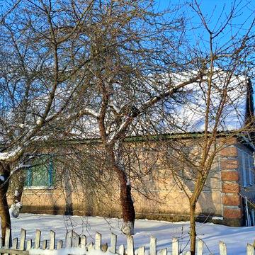 Житловий будинок садибного типу