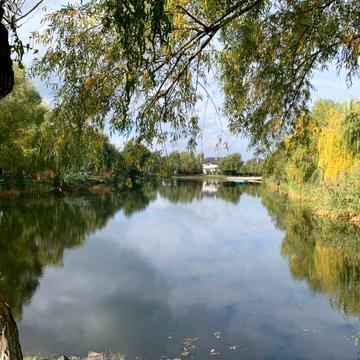 Оренда Будинку | Без Комісії | К.М. Кантрі | Козин | Газ | Генератор