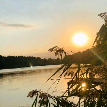 Жила дача біля води та лісу. Поряд річка Стугна, вихід до р. Дніпро.