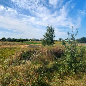 Захисників України