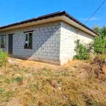 Продам дом. Петриковка.