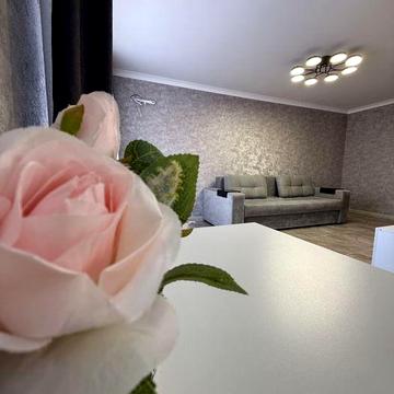 Продаж гарної  квартири. Центр.Свіжий , якісний ремонт