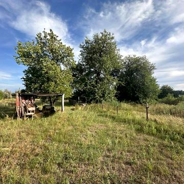 Ділянка з будинком в Курилівці, Дніпропетровська обл, ТОРГ!