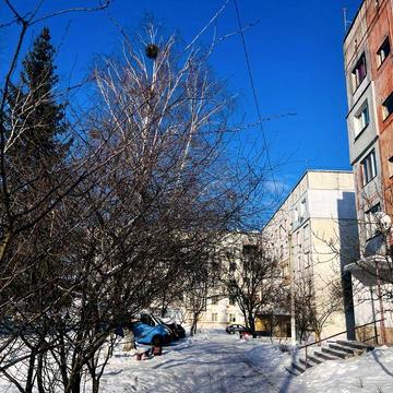 Є-відновлення! Квартира 2-кімнатна 52 м2 з газом  біля лісу у с.Кодра