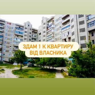 Оренда 1 к. квартира. Центр, вул. Заливна