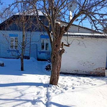 Продається будинок у Фастові.