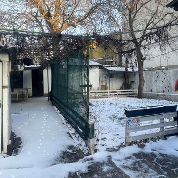 Сдам дом на Слободке