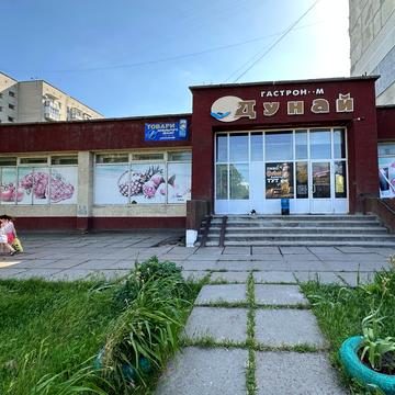 Гоголя вул., 520