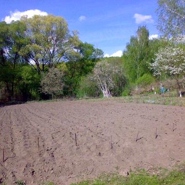Продається будинок та  земельна ділянка в селі Ольшана