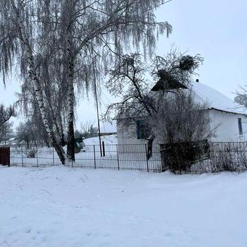 Будинок в селі Липки , Попільнянського району Житомирськоі області