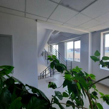 Миколи Боровського вул., 37