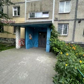 Продам 3-х кімнатну квартиру | Сонячний