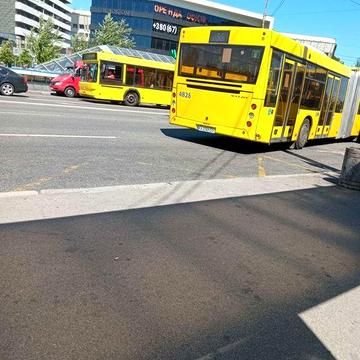 З електромобілями. З тваринами. метро Теремки Київ - п.с.. Буд-k. Таун