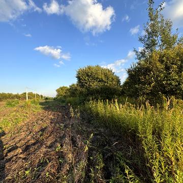 Проектована, 2