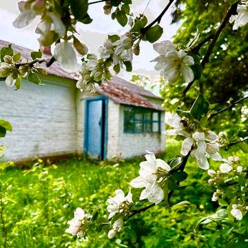 Розкішна, величезна ділянка з будинком, річкою та ставом (Луцький р-н)