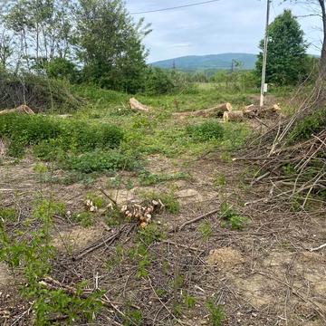 Центральна