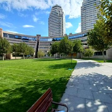 Володимира Вернадського вул. (Дзержинського), 35-Т