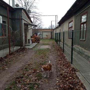 Квартира на земле