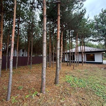 Продам Будинок 100м2, 7 соток, серед Сосен, с.Проців, ЄОселя