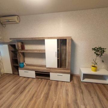 Оренда однокімнатної квартири у Дніпровському р-ні (Проф. Толока 18а)