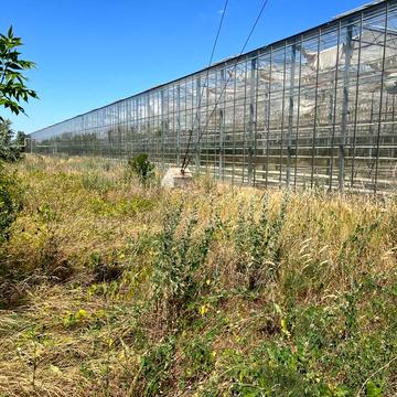 Центральна вул., 1