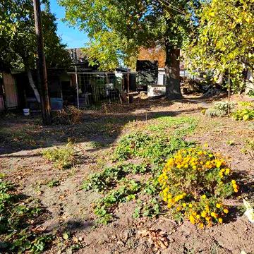 Продаж будинку 100 м2  8 соток під реставрацію Холодна Гора 1 км