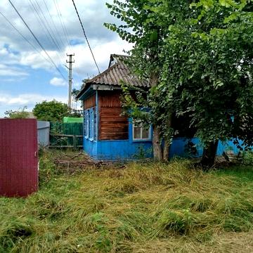 Деревяний будинок с.Щербатівка, Коростенський р-н, ліс,гарна природа