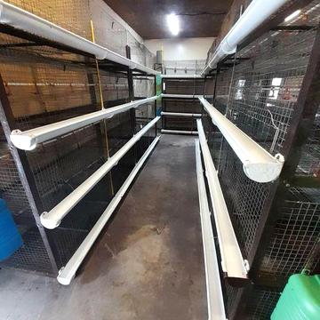 Будинок з бізнесом