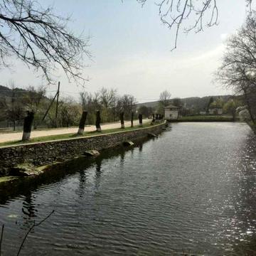 Будинок з історією + бізнес | Центр села, біля ставка | 20 соток