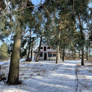 Будинок оточений соснами