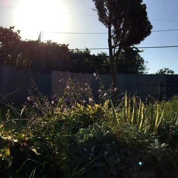 Приватний будинок