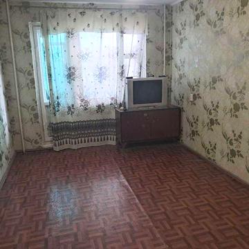 Здаю квартиру в оренду