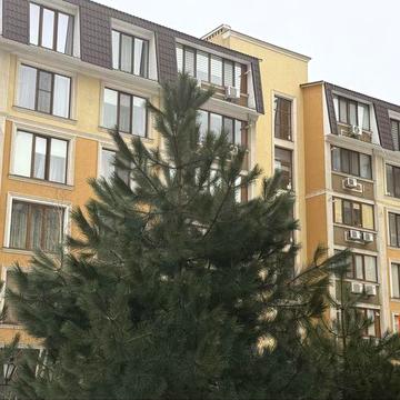 Оренда євродвокімнатної квартири в Академмістечку