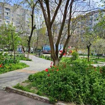 Акция! 3-х  квартира на Ильфа и Петрова